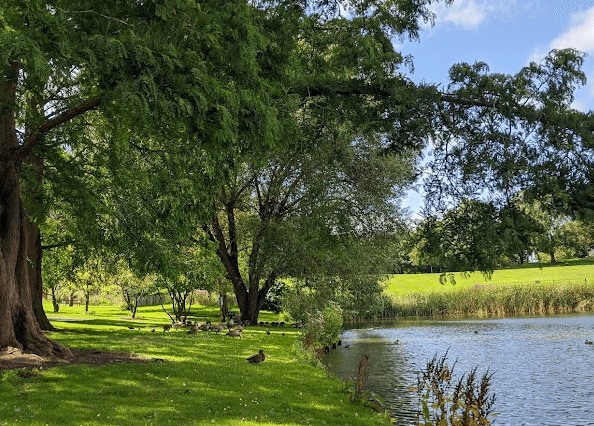 萨里大学