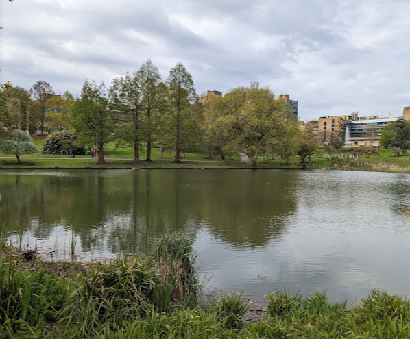 萨里大学申请条件