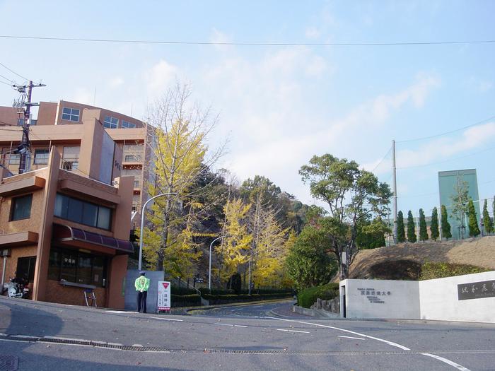 广岛大学申请