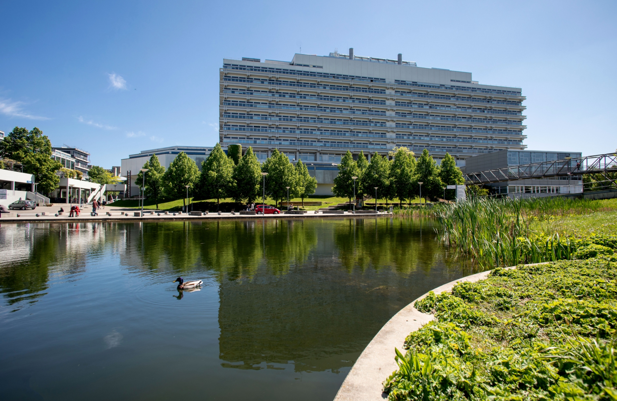 斯图加特大学